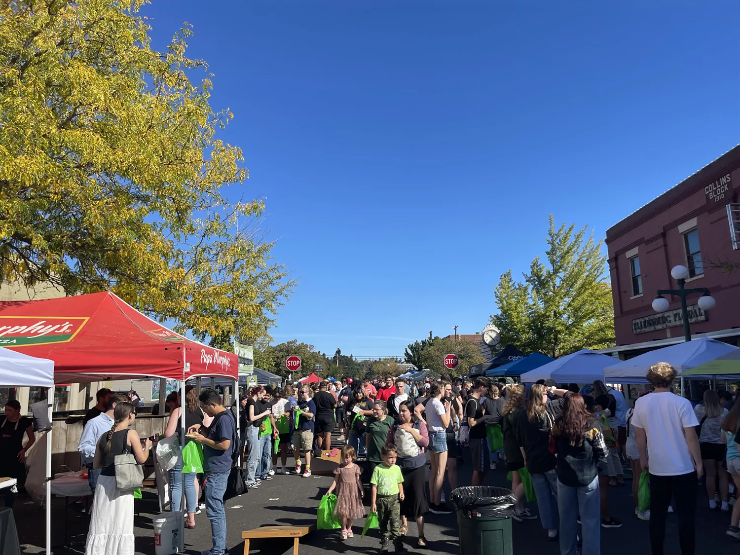 Photo Sep 24 2024, 2 36 17 PM